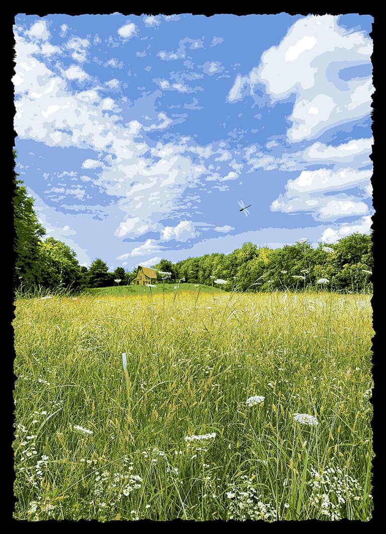 Shiloh's Meadow, artwork by Terrell Thornhill